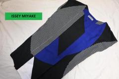 イッセイミヤケISSEYMIYAKE ドットパネルプリントチュニック