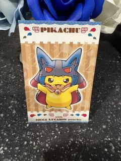 2025年最新】メガルカリオのポンチョを着たピカチュウの人気