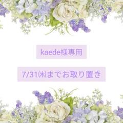 《No.1738❀》ハンドメイド　レジンヘアゴム　イエローグリーン　クリア　大