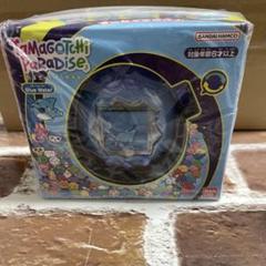 たまごっちパラダイスブルーウォーター
