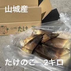 まーちゃむ様京都山城産朝掘り筍5kg中部クール便