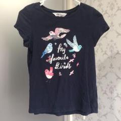 H&M140半袖Tシャツ女の子ネイビー 小鳥柄