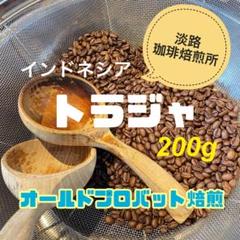 【インドネシア トラジャ G1 焙煎豆　３００ｇ×２】 スラウェシ トラジャG1 | オンラインショップ【注文焙煎豆虎】