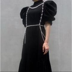 2022年最新】litmus パールハーネスの人気アイテム - メルカリ