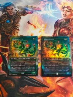 MTG 苔生まれのハイドラ 2枚セット