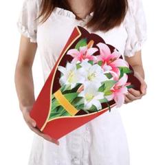 NOBONU ポップアップカード ユリ 30cm 立体 大 Pop-up