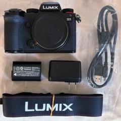 パナソニック LUMIX DC-S5 ボディ（外装に欠けあり。動作に問題