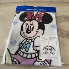 ディズニーリゾート　仲良しくらぶ　ミッキーミニー　のれん　暖簾