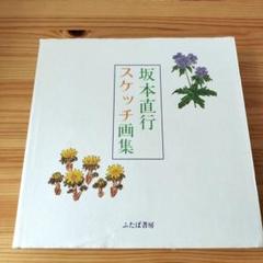 ☆坂本直行☆「 からまつそう 」ペン画 インチサイズ 未使用！