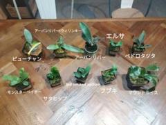 2025年最新】pedro tatsutaの人気アイテム - メルカリ