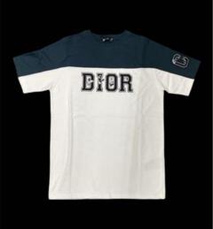 売り切り 美品 ディオール Dior ケニーシャーフ コラボ 半袖Tシャツ 売り切り 美品 ディオール Dior ケニーシャーフ コラボ 半袖Tシャツ