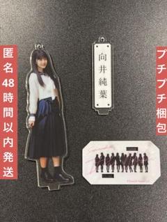 2025年最新】ペンライトスタンド 櫻坂の人気アイテム - メルカリ
