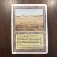 【断捨離】MTG savannah ４枚 断捨離】MTG savannah 4枚