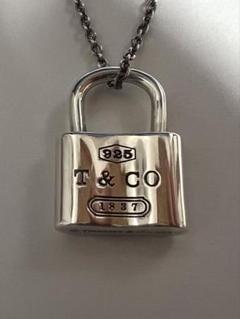 31日まで⭐︎Tiffany & Co. シルバー カデナロックチャームのみ