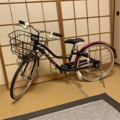 新品BRIDGESTONE Wild Berry WB204 22インチ