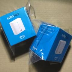 echo flex 2個