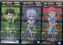 HUNTER×HUNTER ワールドコレクタブルフィギュア-ハンター試験-3種