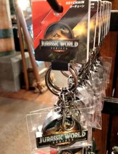 USJ　ジュラシック　ワールド　キーホルダーのサムネイル