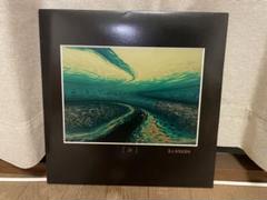 DJ KRUSH 漸 レコード 2枚組