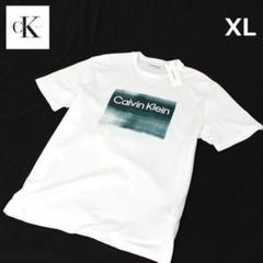 USA Calvin Klein■カルバンクライン■白色■Tシャツ/CT77XL