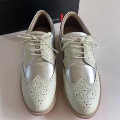 ちまきecco womens ゴルフシューズ　クラシック　室内数分使用 ちまき様専用ecco womens ゴルフシューズ クラシック 室内数分