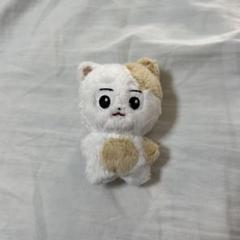 ENHYPEN ヒスン ぬいぐるみ トレカケース マスター　エンニマルズ enhypen ヒスン 10cm ぬいぐるみ 新品 マスター - メルカリ