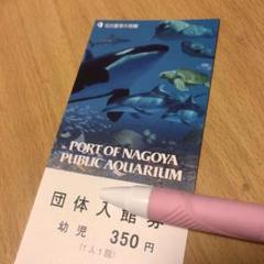 名古屋港水族館 幼児1枚
