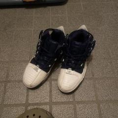 値下 Nike Zoom Lebron III QS