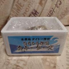 おもしろ雑貨 カキーケース