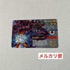 イナズマイレブン ライセンスカード 円堂守 必殺技 イレブン