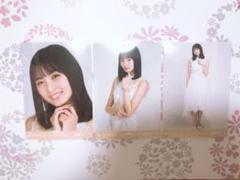 乃木坂46 生写真 しあわせの保護色 遠藤さくら コンプ