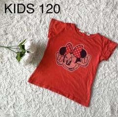 UNIQLO　ユニクロ　ミニーちゃん　半袖　Tシャツ　　　キッズ　120