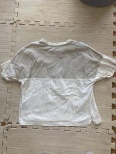 ホワイト コットン 半袖 Tシャツ　セット