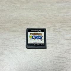 ニンテンドーDS ソフト 牧場物語 風のバザール