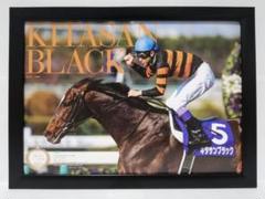 スターホース3 パネル２枚セット杉本清 Star Horse3 サイン入り オンラインショップ 杉本清 パネル2枚セット スターホース3 Star