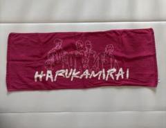 【廃盤・レア】ハルカミライ タオル フェス