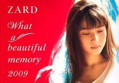 フ*ス様 ZARD/What a beautiful memory 2009 Amazon.com: ZARD What a beautiful memory~forever you~ [DVD