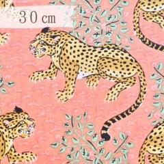 A167. インド直輸入｜ブロックプリント生地（綿100％・30cmカット）
