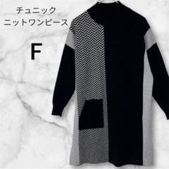 ハイネック　チュニック ニットワンピース F