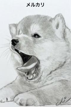 【才蔵ページ】鉛筆画 ご依頼 犬 ハスキー 手描き イラスト 2Lサイズ 1658818715-6000x6000.jpg.jpg?h