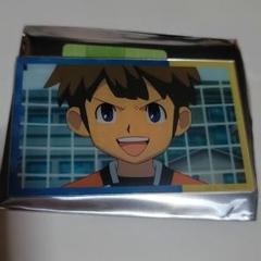 イナズマイレブン　立向居勇気　カード　45枚　プレカ　ライセンス　プレミアム イナズマイレブン 立向居勇気 カード 45枚 プレカ ライセンス