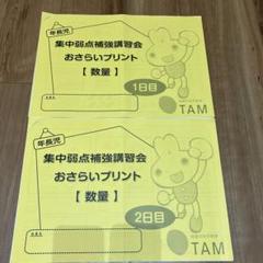【理英会】まとめ売り/等分・分割 計数・分類計数 ぱっちりん応用編2冊セット他 0221133910_65d57e6e683aa.png