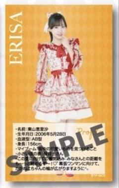 N*e様 東山恵里沙 直筆サインあり ミニフォト 高嶺のなでしこ 東山恵里沙 Beginning S賞 直筆サイン入り