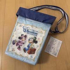 新品ディズニーバケーションパッケージ限定ポップコーンケース/ポップコーンバケット