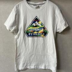 ピレネックス　Tシャツ