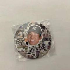 千葉ロッテマリーンズ　茶谷健太　缶バッジ