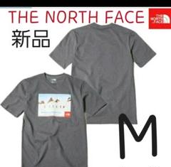 THE NORTH FACE ノースフェイス トップス M アンタークティカ