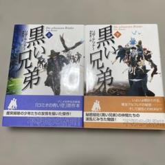 黒い兄弟　上下2冊　リザ・テツナー作　ハードカバー