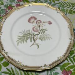 ノリタケ・スープ皿・シチュー皿・カレー皿・山吹の花・ガラ