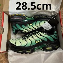 新品 Nike Air Max Plus グリーン グラデーション